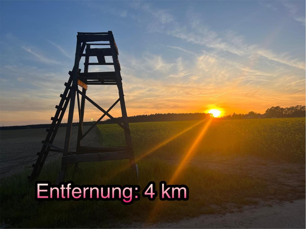Wormis Apartment Heideblick Bei Luckau Exteriér fotografie